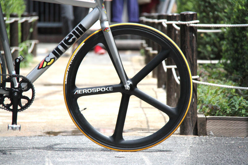 o0800053312068443541